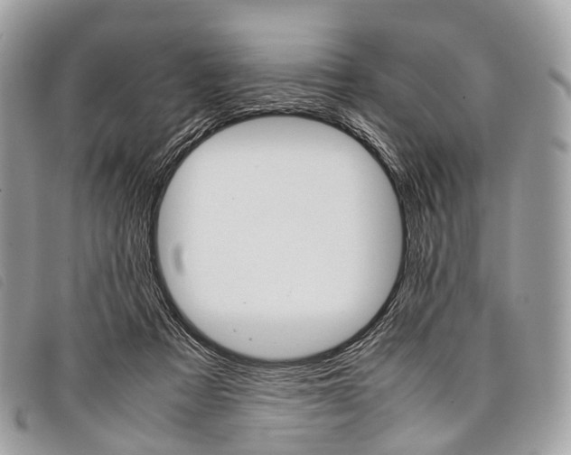 X0000097840313200804111111