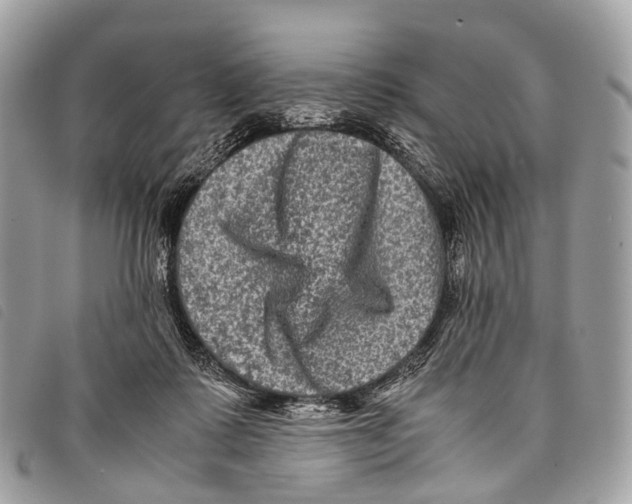 X0000097840315200804111111
