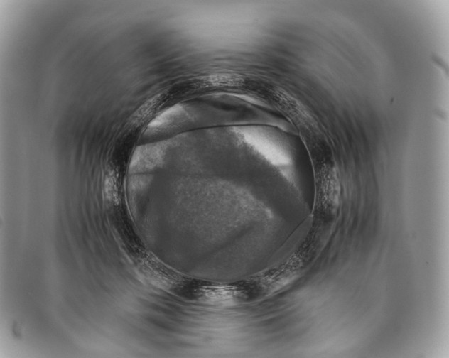 X0000097840316200804111111