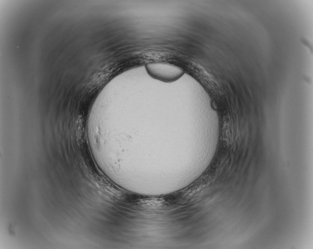 X0000097840318200804111111