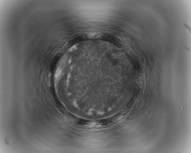 X0000097840319200804111111
