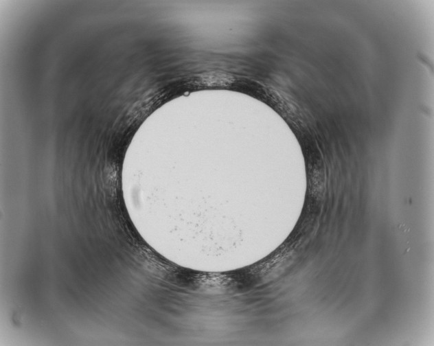X0000097840321200804111111