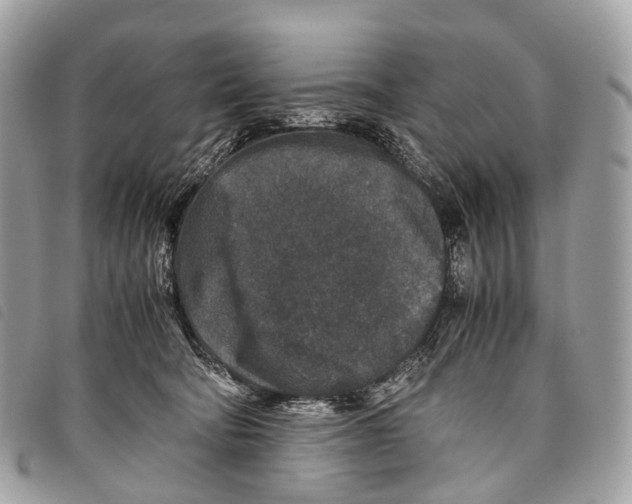 X0000097840322200804111111