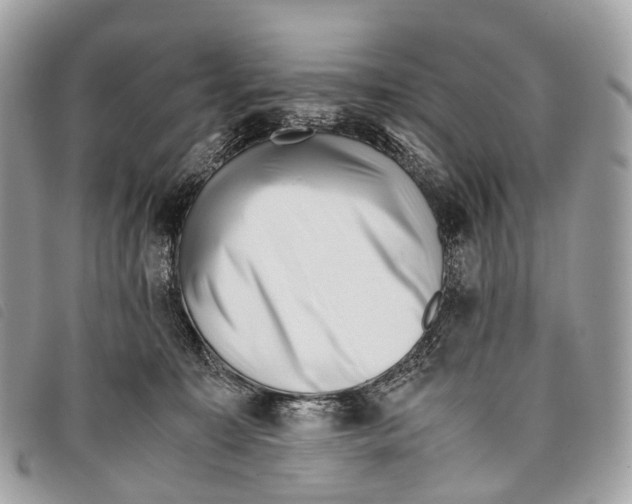 X0000097840323200804111111