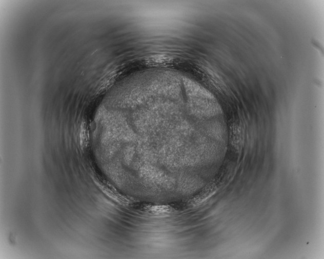 X0000097840324200804111111