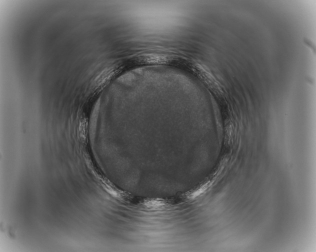 X0000097840325200804111111