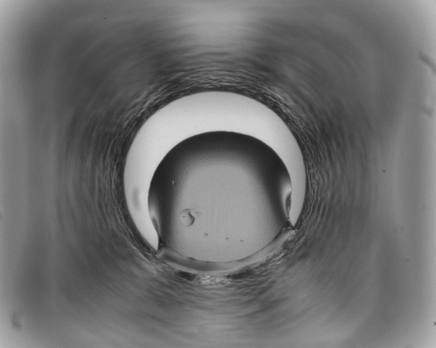 X0000097840327200804111111