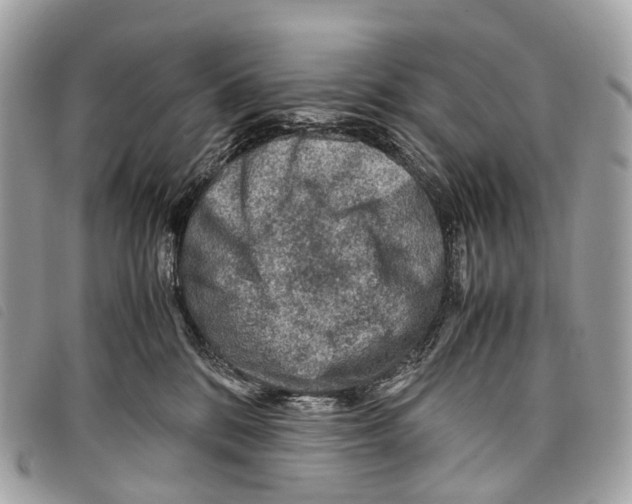X0000097840328200804111111
