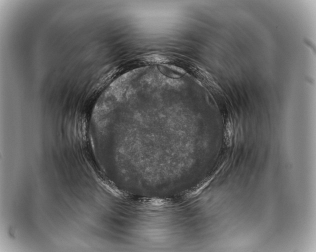 X0000097840330200804111110