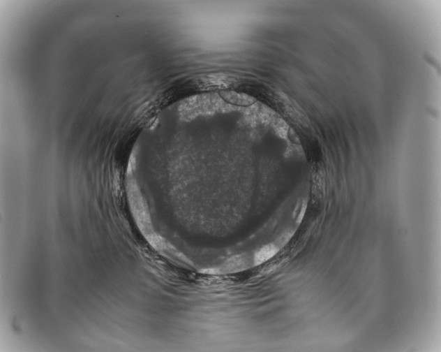 X0000097840331200804111110
