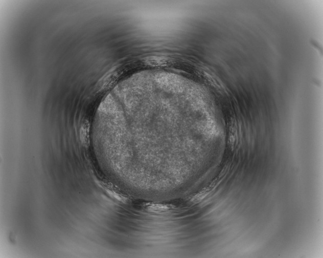 X0000097840332200804111110