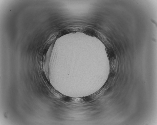 X0000097840333200804111110