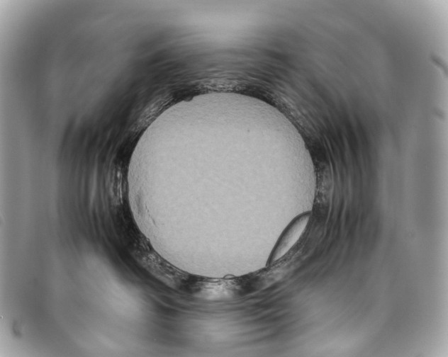 X0000097840334200804111110