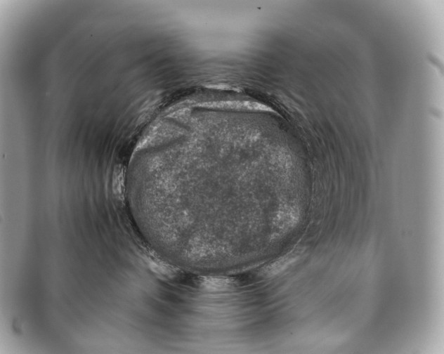 X0000097840336200804111110