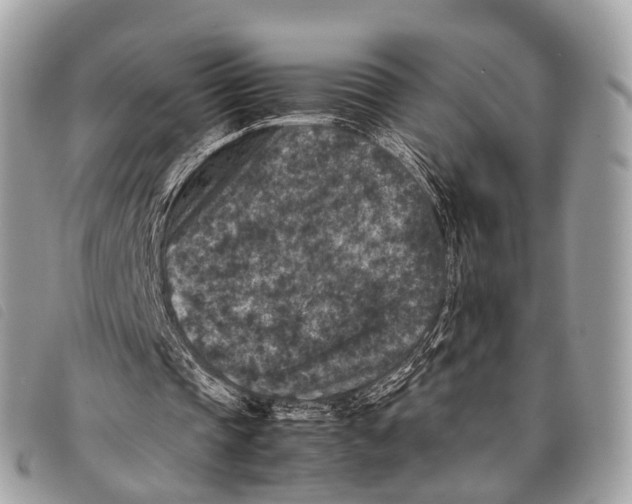 X0000097840337200804111110