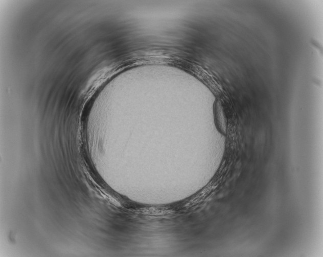 X0000097840338200804111110