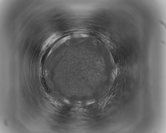 X0000097840339200804111110