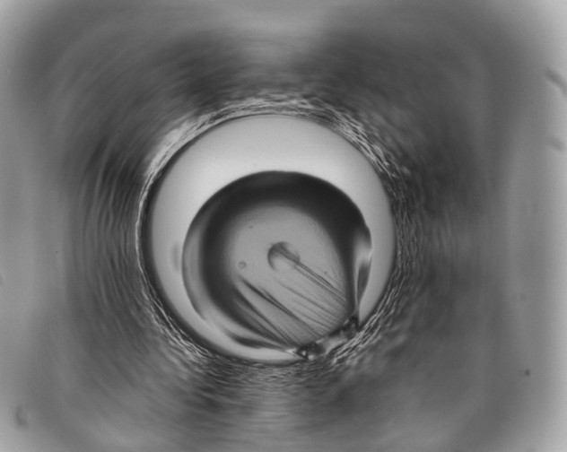 X0000097840340200804111110