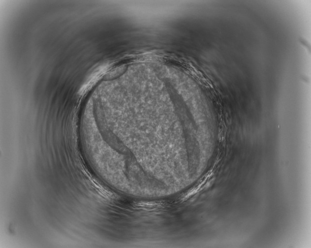 X0000097840341200804111110