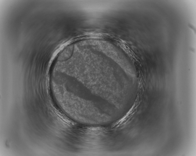 X0000097840342200804111110