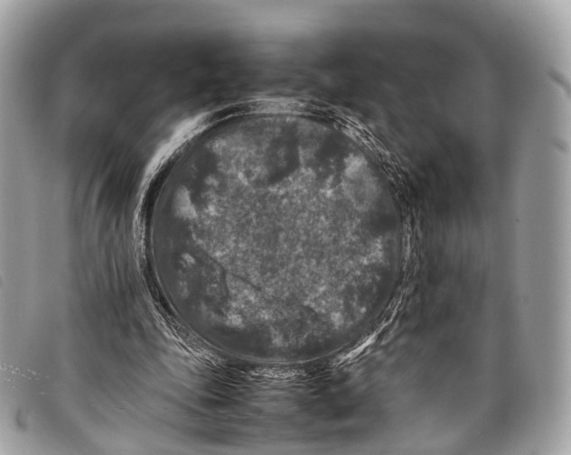 X0000097840343200804111110