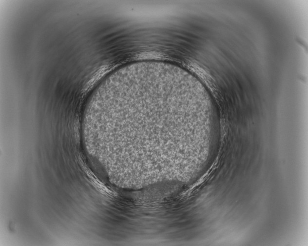 X0000097840345200804111110