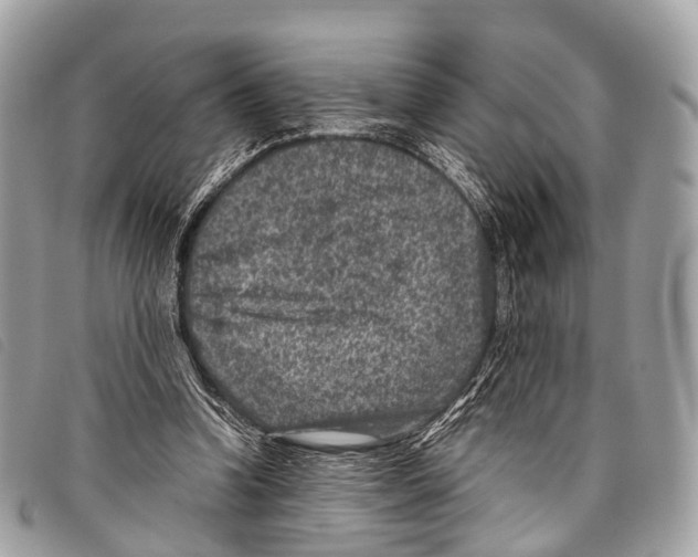 X0000097840346200804111110
