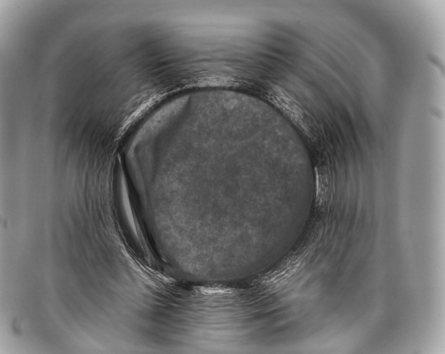 X0000097840348200804111110