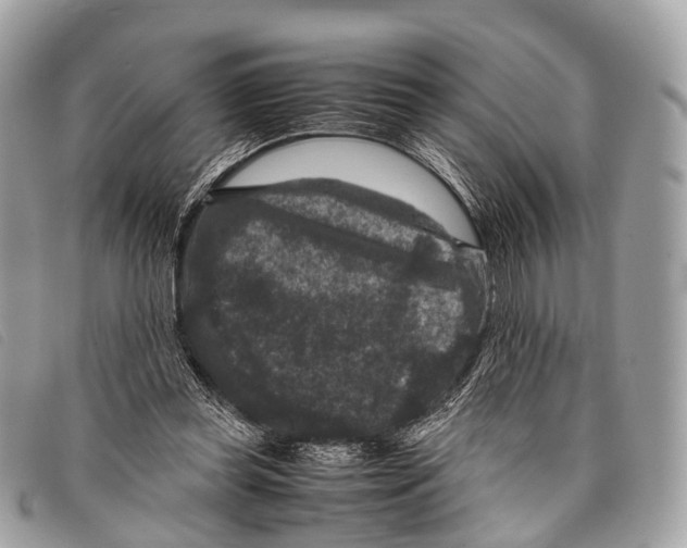 X0000097840349200804111110