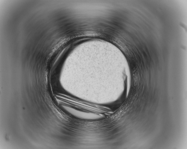 X0000097840350200804111110