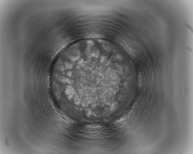 X0000097840351200804111110