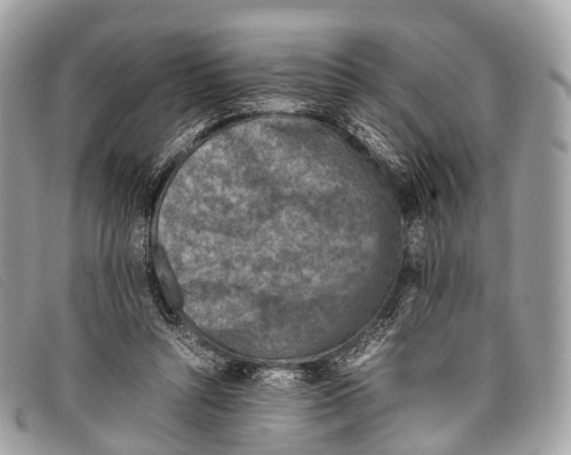 X0000097840352200804111110
