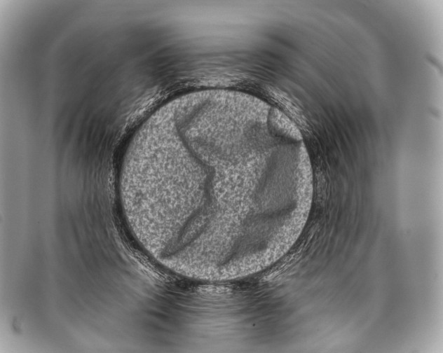 X0000097840354200804111110