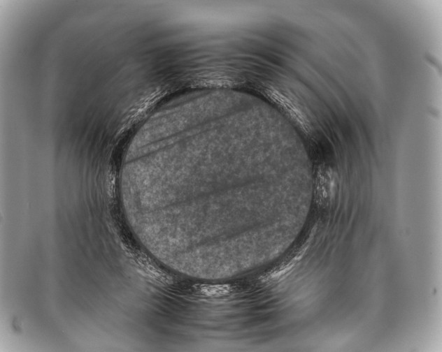 X0000097840355200804111110