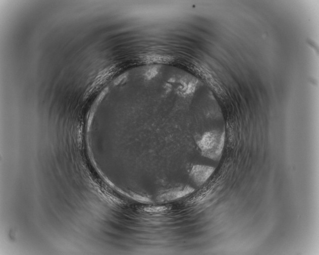 X0000097840357200804111110
