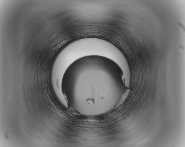 X0000097840360200804111110