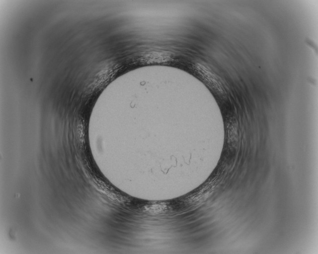 X0000097840362200804111110