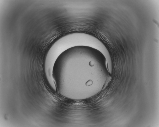 X0000097840364200804111110