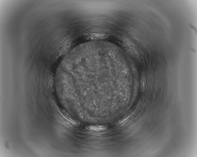 X0000097840367200804111110