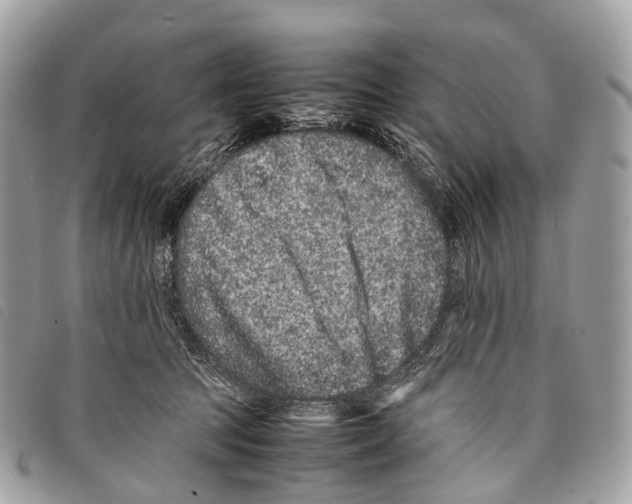 X0000097840369200804111110