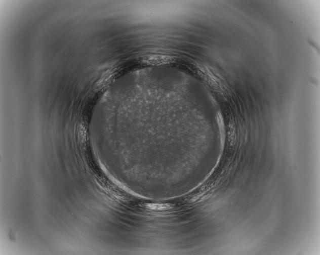 X0000097840371200804111110
