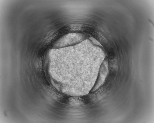 X0000097840372200804111110
