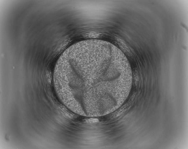 X0000097840374200804111110