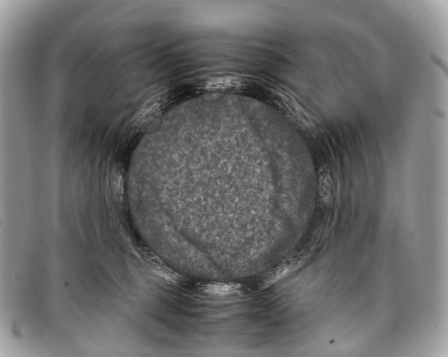 X0000097840375200804111110