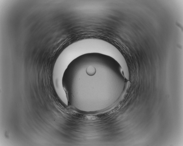 X0000097840376200804111110