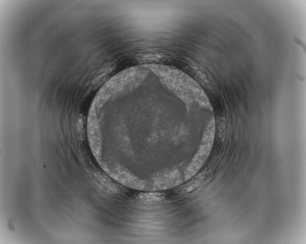 X0000097840378200804111110