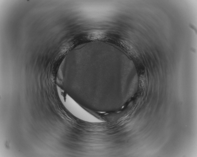 X0000097840380200804111110