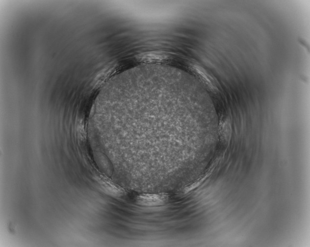X0000097840381200804111110