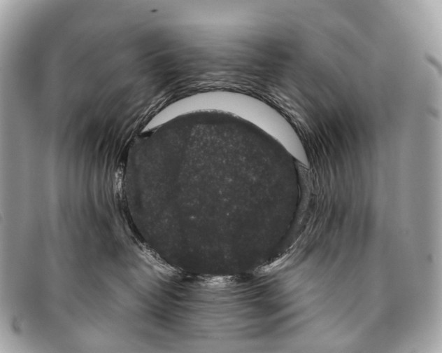 X0000097840382200804111110