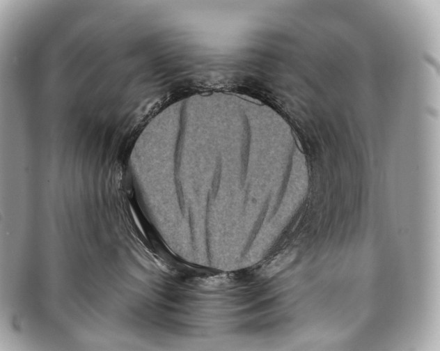X0000097840384200804111110